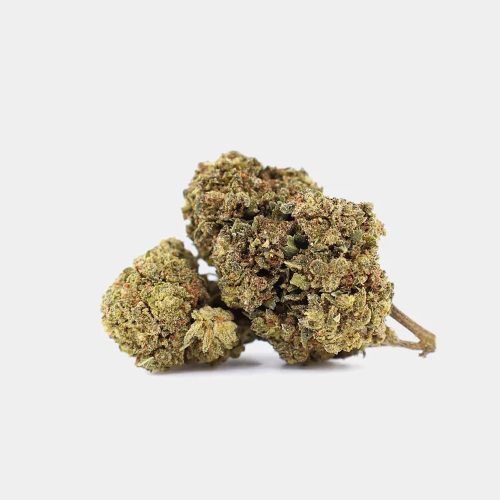 Magic Farmer Mr. Nice | 30% 10-OH-HHC Flori | 5g