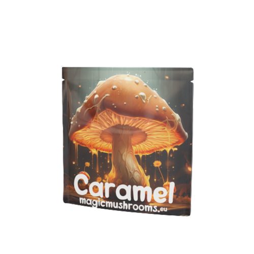 Caramel Fudge with Mushroom Extract 